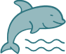 Beluga Whale (lat. Delphinapterus leucas)